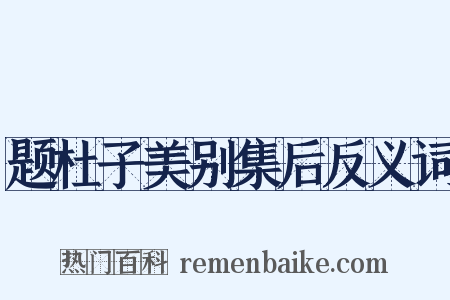 题杜子美别集后反义词是什么意思的图片